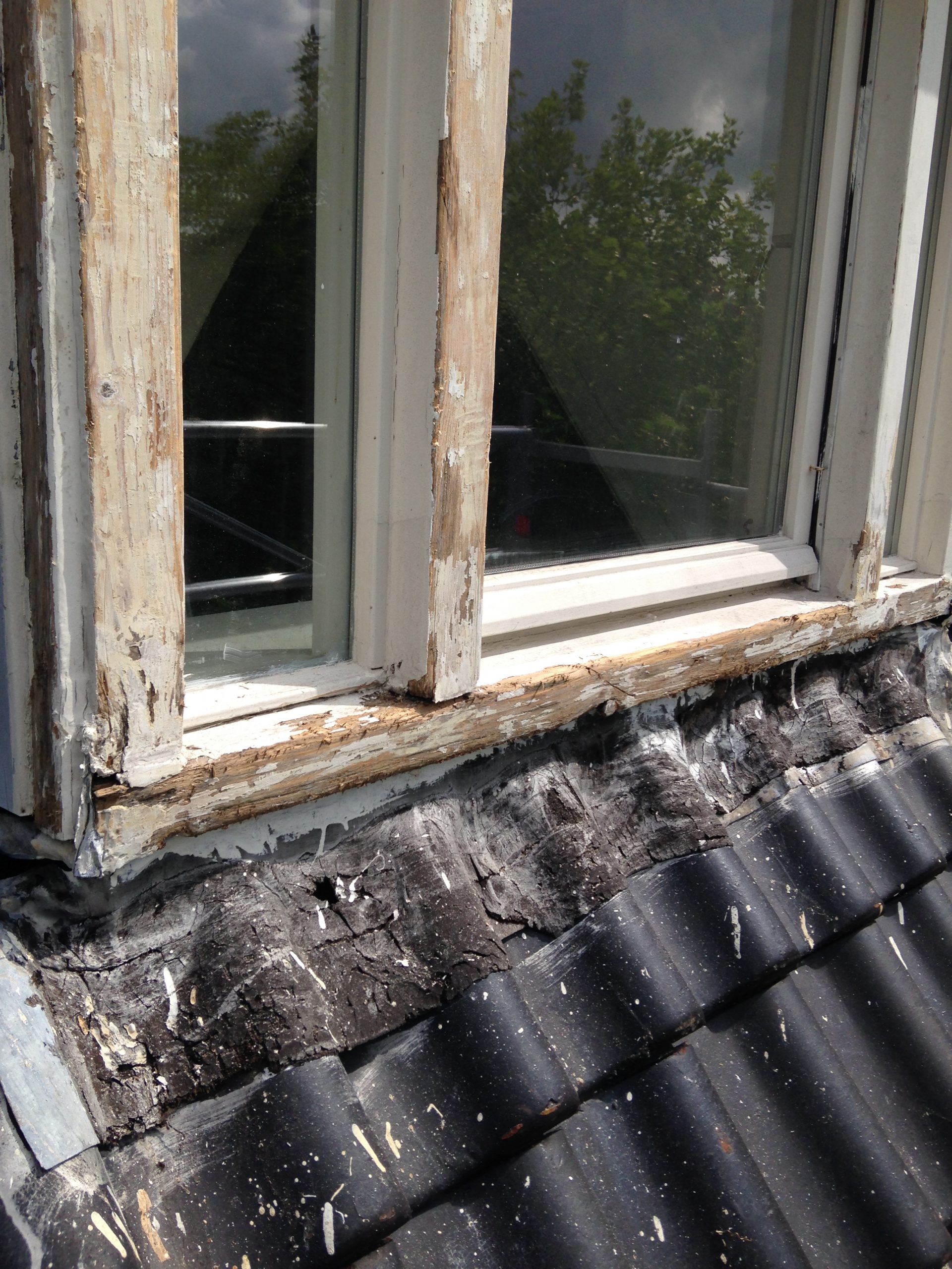 Houtrot repareren in Amsterdam