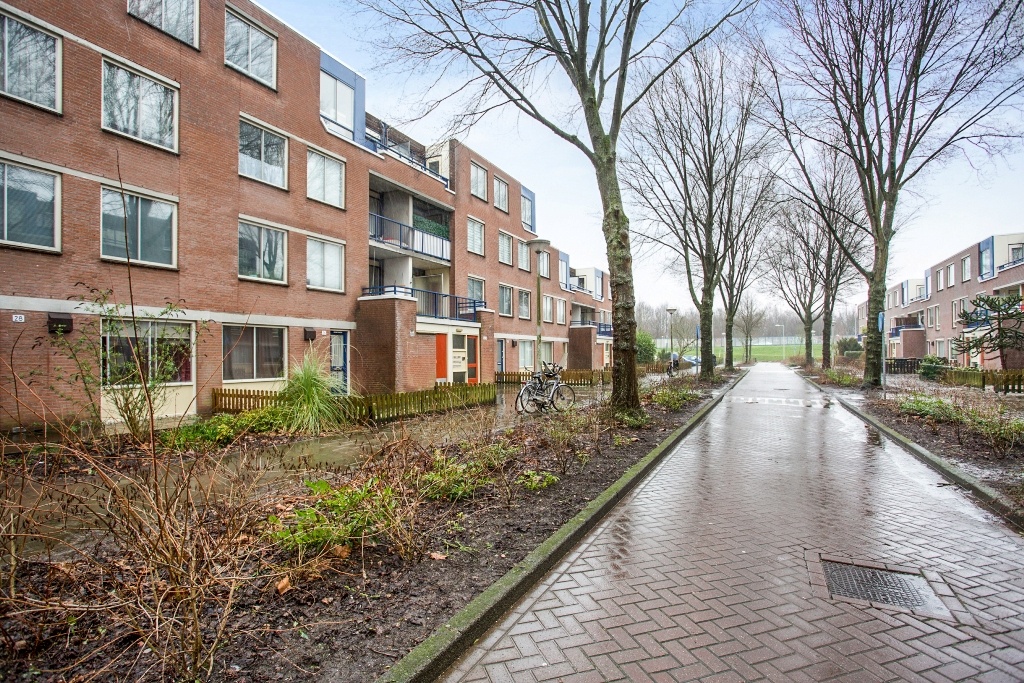 Zeegelaar Schilderwerk, de v.v.e schilder